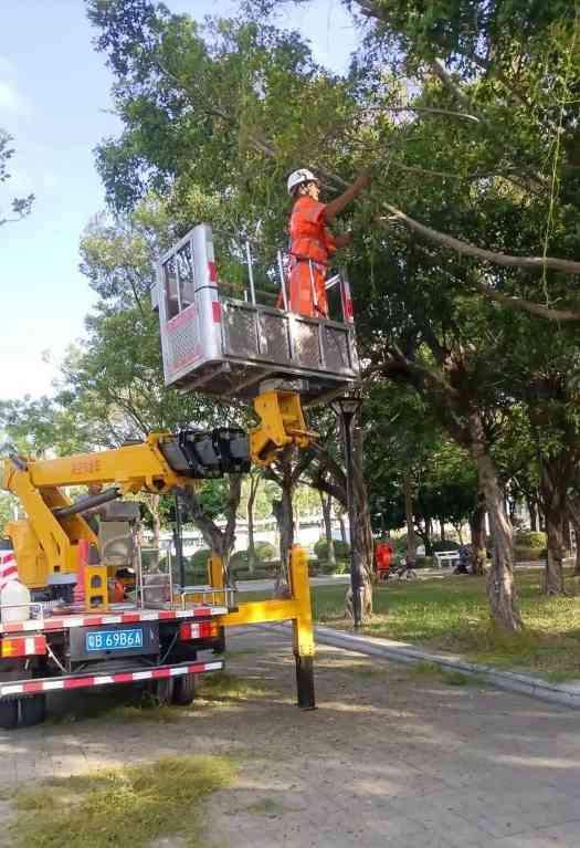 绿化管养项目(图2)