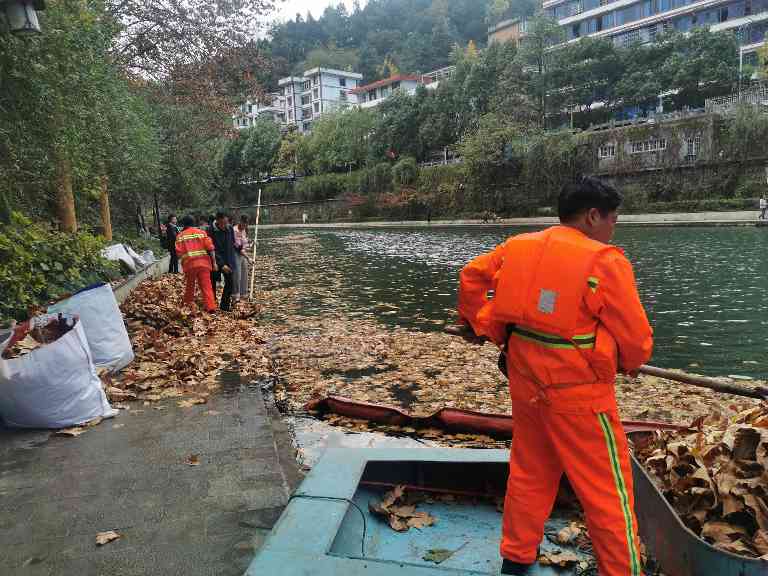 贵州遵义城市绿化管养项目(图4)