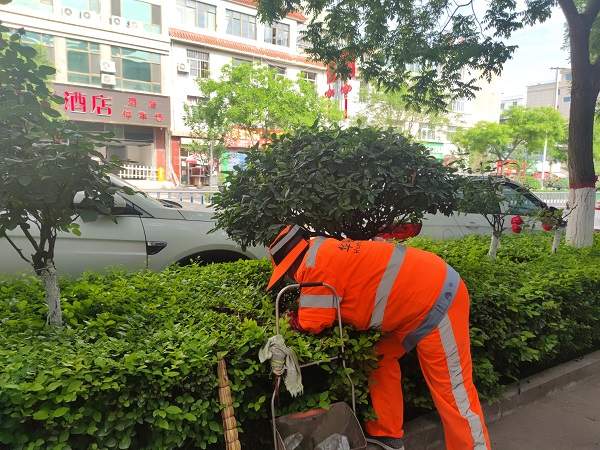甘肃西和项目道路清洁(图3)