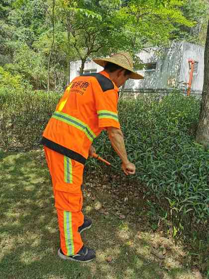 龙华区樟坑径城市公园管养项目