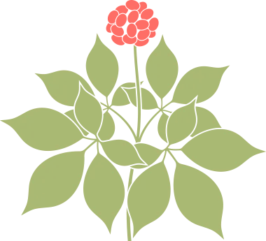 广阔天地 大有可为 2023斯蒂尔走进乡村(图7)