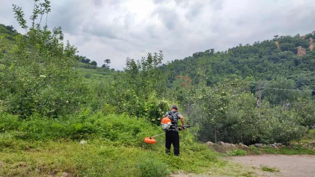 广阔天地 大有可为 2023斯蒂尔走进乡村(图11)