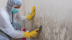 遇到了发霉问题? 霉菌修复专业人员小建议(图1)