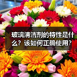 玻璃清洁剂的特性是什么?该如何正确使用?(图3) 玻璃清洁剂的特性是什么?该如何正确使用?(图3)