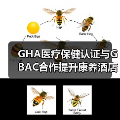 GHA医疗保健认证与GBAC合作提升康养酒店标准(图4) GHA医疗保健认证与GBAC合作提升康养酒店标准(图4)