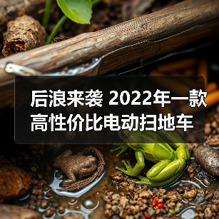 后浪来袭 2022年一款高性价比电动扫地车（图2）