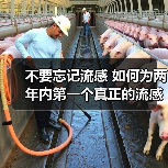 不要忘记流感 如何为两年内第一个真正的流感季节做好准备(图4) 不要忘记流感 如何为两年内第一个真正的流感季节做好准备(图4)