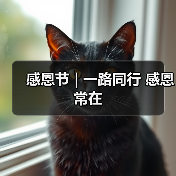 感恩节 | 一路同行 感恩常在（图3）