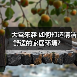 大雪来袭 如何打造清洁舒适的家居环境？（图2）