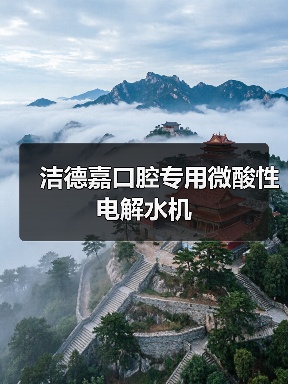 洁德嘉口腔专用微酸性电解水机（图4）