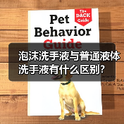 泡沫洗手液与普通液体洗手液有什么区别？（图3）
