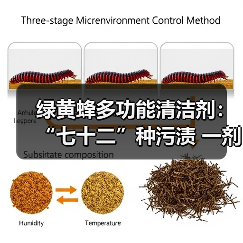 绿黄蜂多功能清洁剂:“七十二”种污渍 一剂就能解决(图3) 绿黄蜂多功能清洁剂:“七十二”种污渍 一剂就能解决(图3)