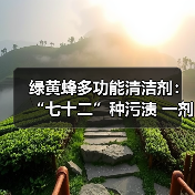 绿黄蜂多功能清洁剂:“七十二”种污渍 一剂就能解决(图1) 绿黄蜂多功能清洁剂:“七十二”种污渍 一剂就能解决(图1)