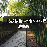 毛驴快跑S79和S977重磅来袭(图2) 毛驴快跑S79和S977重磅来袭(图2)