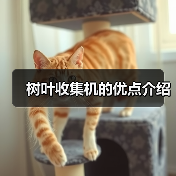 树叶收集机的优点介绍(图2) 树叶收集机的优点介绍(图2)