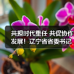 共担时代重任 共促协作发展！辽宁省省委书记、省长 江苏省省长带队调研亿嘉和！（图2）