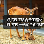 必拓专注铝合金工程材料 实现一站式全面供应(图1) 必拓专注铝合金工程材料 实现一站式全面供应(图1)
