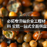 必拓专注铝合金工程材料 实现一站式全面供应(图3) 必拓专注铝合金工程材料 实现一站式全面供应(图3)