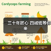 三十年匠心 四诚纸等你来(图2) 三十年匠心 四诚纸等你来(图2)