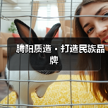 腾阳质造 · 打造民族品牌(图2) 腾阳质造 · 打造民族品牌(图2)