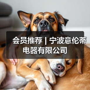 会员推荐 | 宁波意伦蒂电器有限公司(图4) 会员推荐 | 宁波意伦蒂电器有限公司(图4)