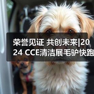 荣誉见证 共创未来|2024 CCE清洁展毛驴快跑（KOKOBOTS）实力圈粉 载誉归来（图2）