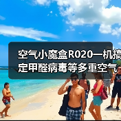 空气小魔盒R020一机搞定甲醛病毒等多重空气污染问题（图3）