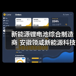 新能源锂电池综合制造商 安徽领威新能源科技有限公司（图4）