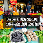 Bison®防爆鼓风机 | 燃料电池应用之船舶篇(图3) Bison®防爆鼓风机 | 燃料电池应用之船舶篇(图3)