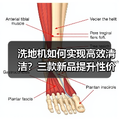 洗地机如何实现高效清洁?三款新品提升性价比体验(图4) 洗地机如何实现高效清洁?三款新品提升性价比体验(图4)