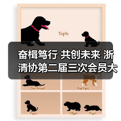 奋楫笃行 共创未来 浙清协第二届三次会员大会圆满落幕 激发清洁行业新活力(图2) 奋楫笃行 共创未来 浙清协第二届三次会员大会圆满落幕 激发清洁行业新活力(图2)