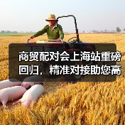 商贸配对会上海站重磅回归，精准对接助您高效拓展商机（图2）