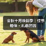 金秋十月焕新季|佳节相伴 · 礼惠团圆(图2) 金秋十月焕新季|佳节相伴 · 礼惠团圆(图2)