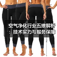 空气净化行业五维解析:技术实力与服务保障全揭秘(图3) 空气净化行业五维解析:技术实力与服务保障全揭秘(图3)