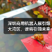 深圳商用机器人展引爆大湾区，谁将引领未来？（图2）