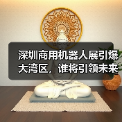 深圳商用机器人展引爆大湾区，谁将引领未来？（图4）