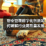 物业管理数字化创新如何破解行业高质量发展难题？（图2）