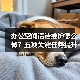 办公空间清洁维护怎么做？五项关键任务提升舒适度（图4）
