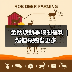 金秋焕新季限时福利|超值采购省更多(图3) 金秋焕新季限时福利|超值采购省更多(图3)