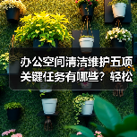 办公空间清洁维护五项关键任务有哪些?轻松保障舒适办公环境(图3) 办公空间清洁维护五项关键任务有哪些?轻松保障舒适办公环境(图3)