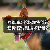 成都洗涤论坛聚焦创新趋势 探讨新技术新场景(图3) 成都洗涤论坛聚焦创新趋势 探讨新技术新场景(图3)