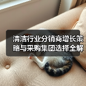 清洁行业分销商增长策略与采购集团选择全解析(图3) 清洁行业分销商增长策略与采购集团选择全解析(图3)