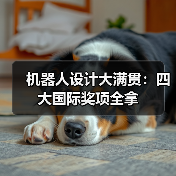 机器人设计大满贯：四大国际奖项全拿（图2）