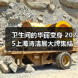 卫生间的华丽变身 2025上海清洁展大牌集结 开启高品质生活之旅!(图2) 卫生间的华丽变身 2025上海清洁展大牌集结 开启高品质生活之旅!(图2)